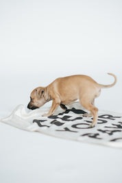 Paw Towel