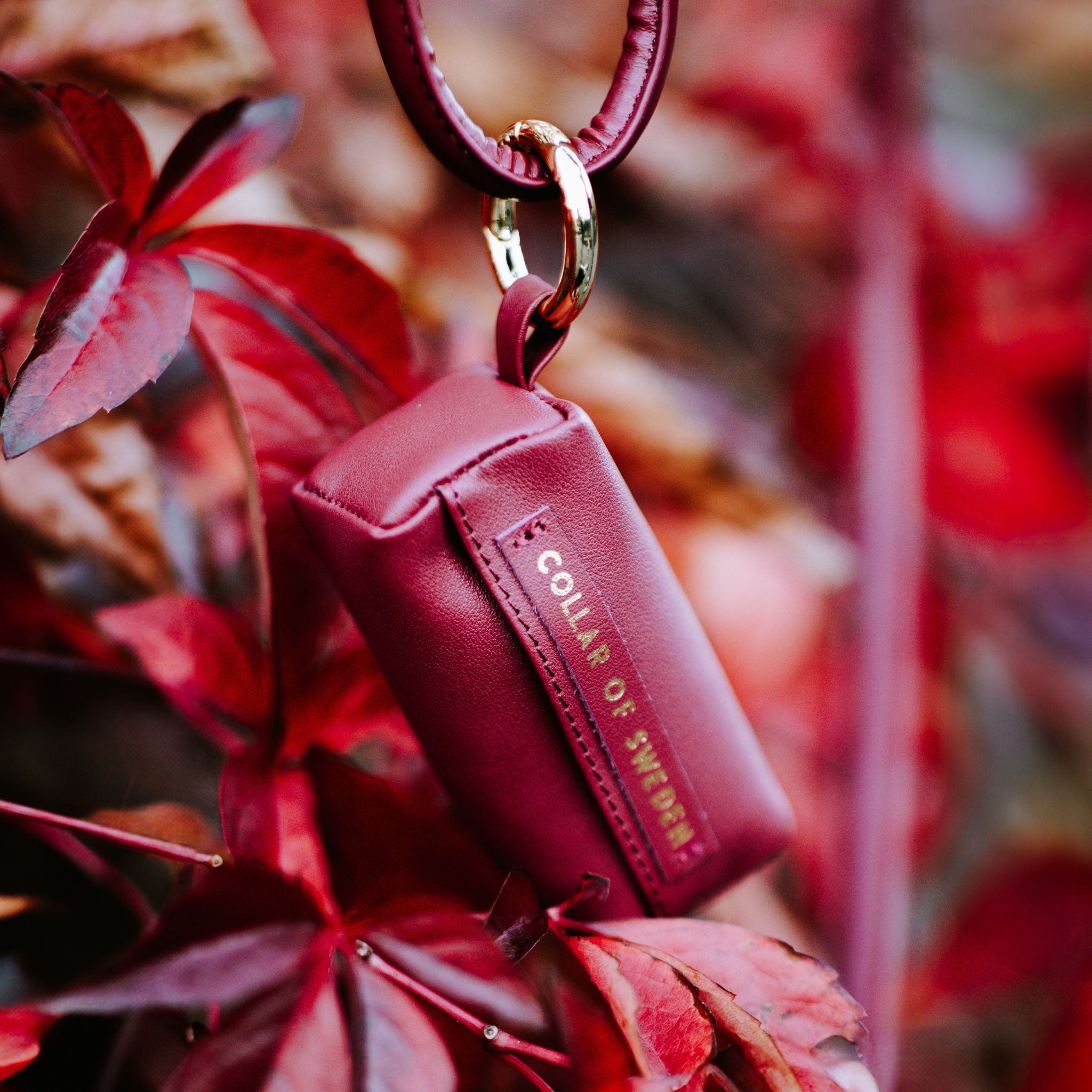 burgundy-poop-bah-holder-autumn.jpg