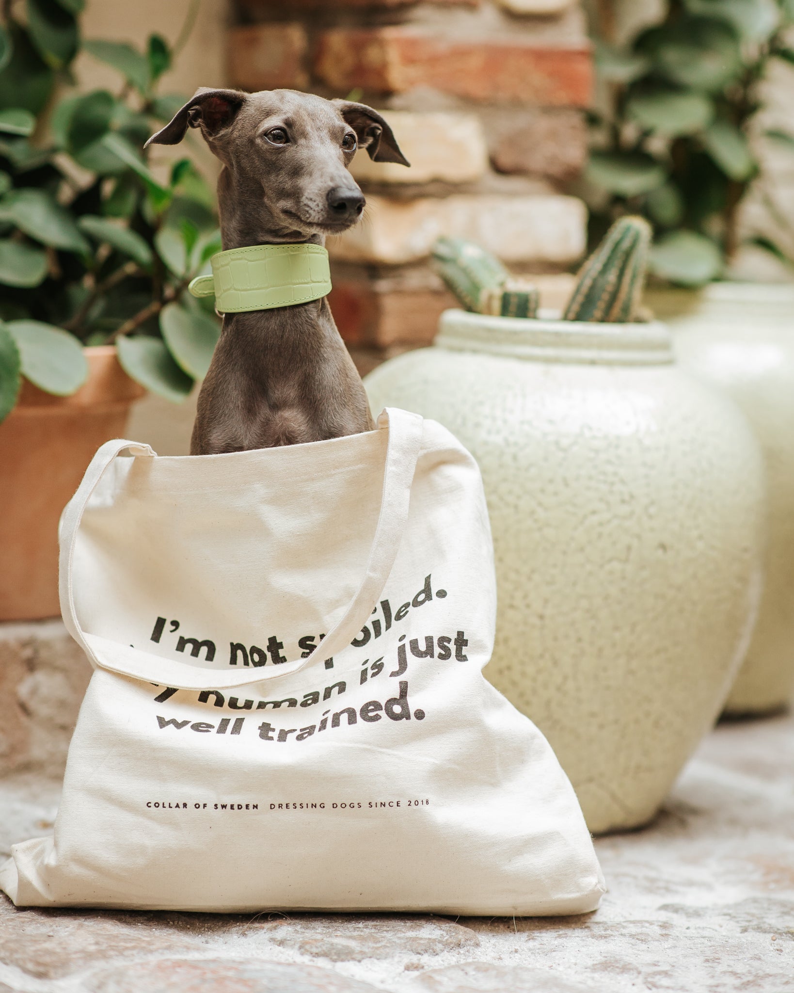 Standard Tote Bag