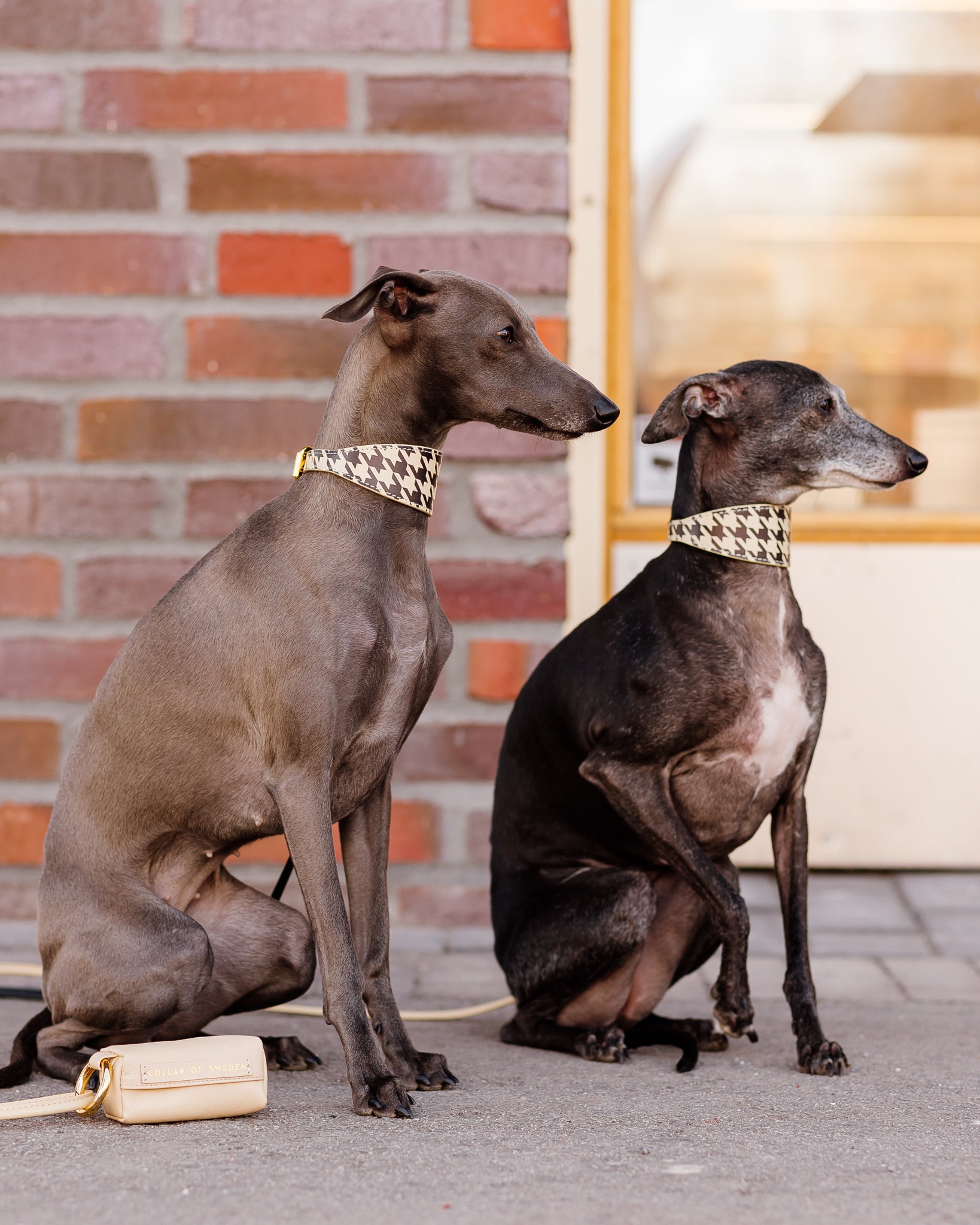 Beige Houndstooth Dog Collar Wide