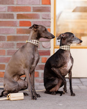 Beige Houndstooth Dog Collar Wide