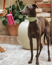 Pastel Green Croco Dog Collar Wide