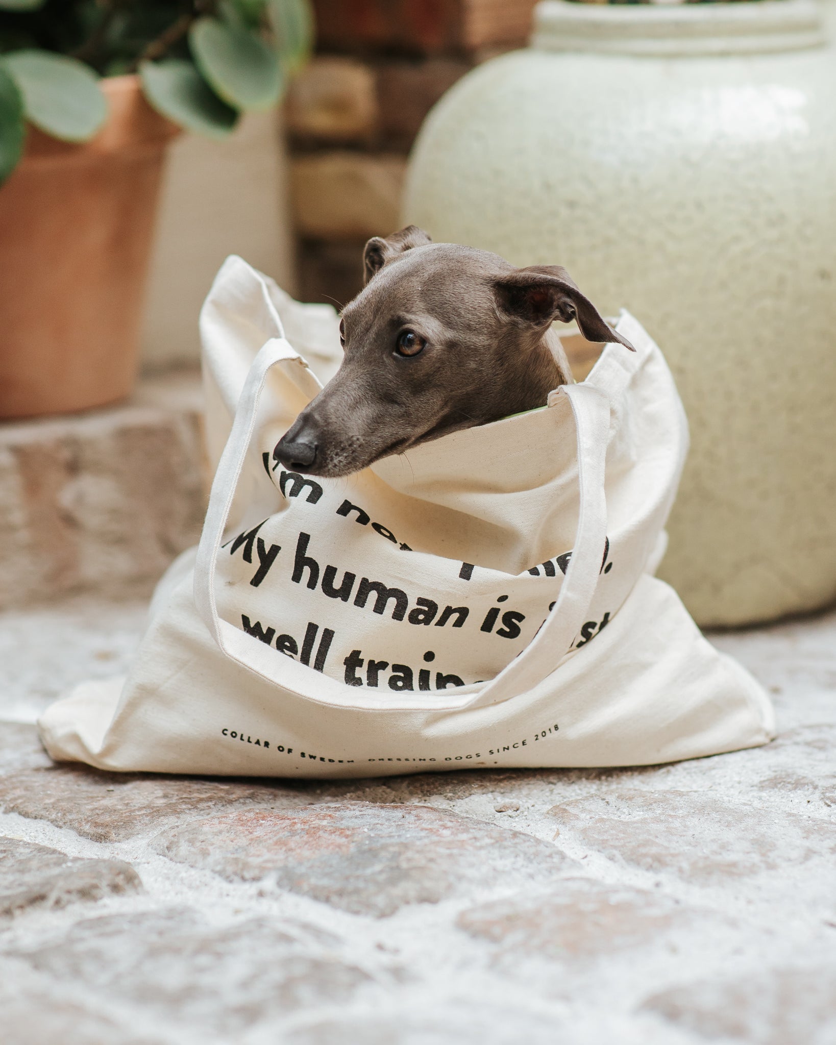Standard Tote Bag