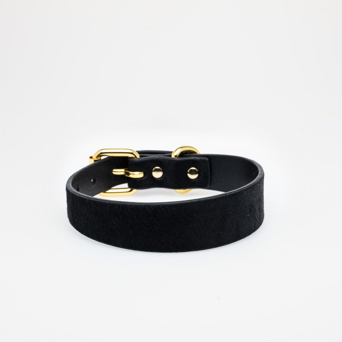 Panther Dog Collar Thin