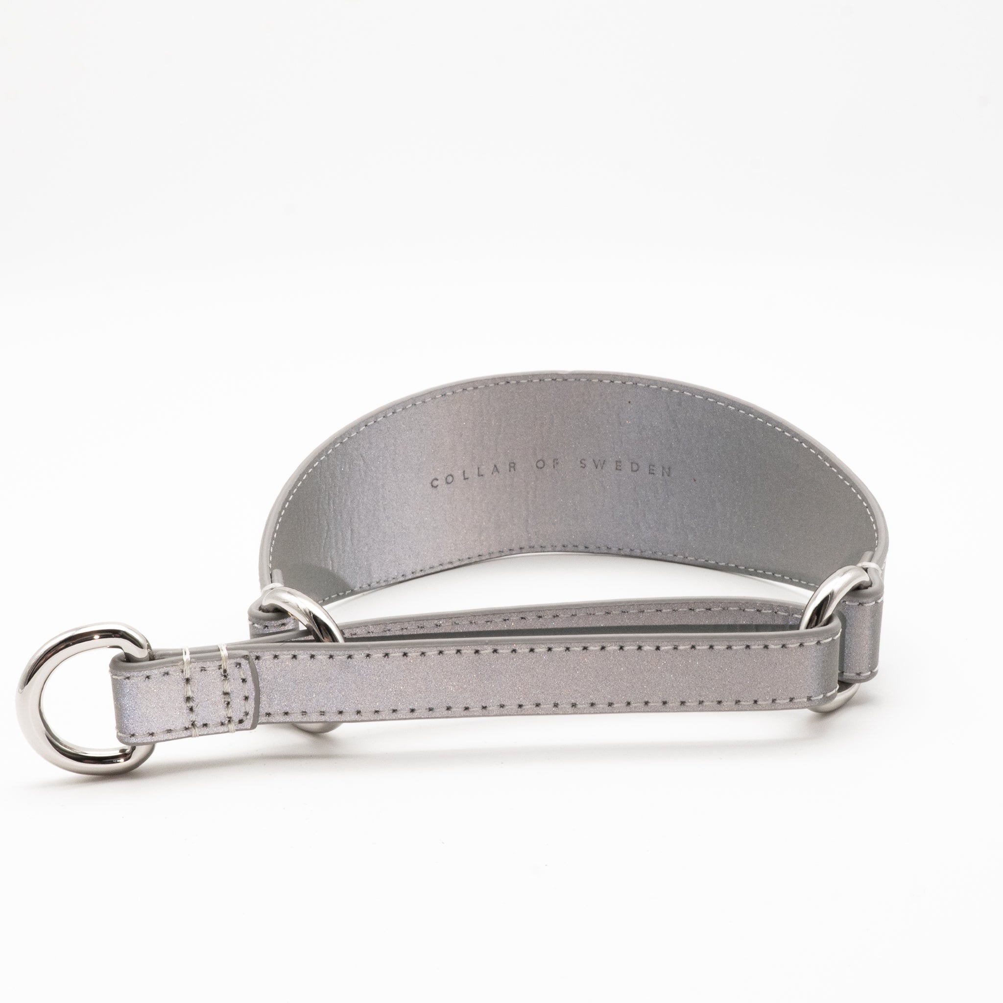 silver-reflective-martingale-dog-collar-wide-back.jpg