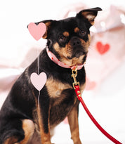 Love Dog Collar Thin