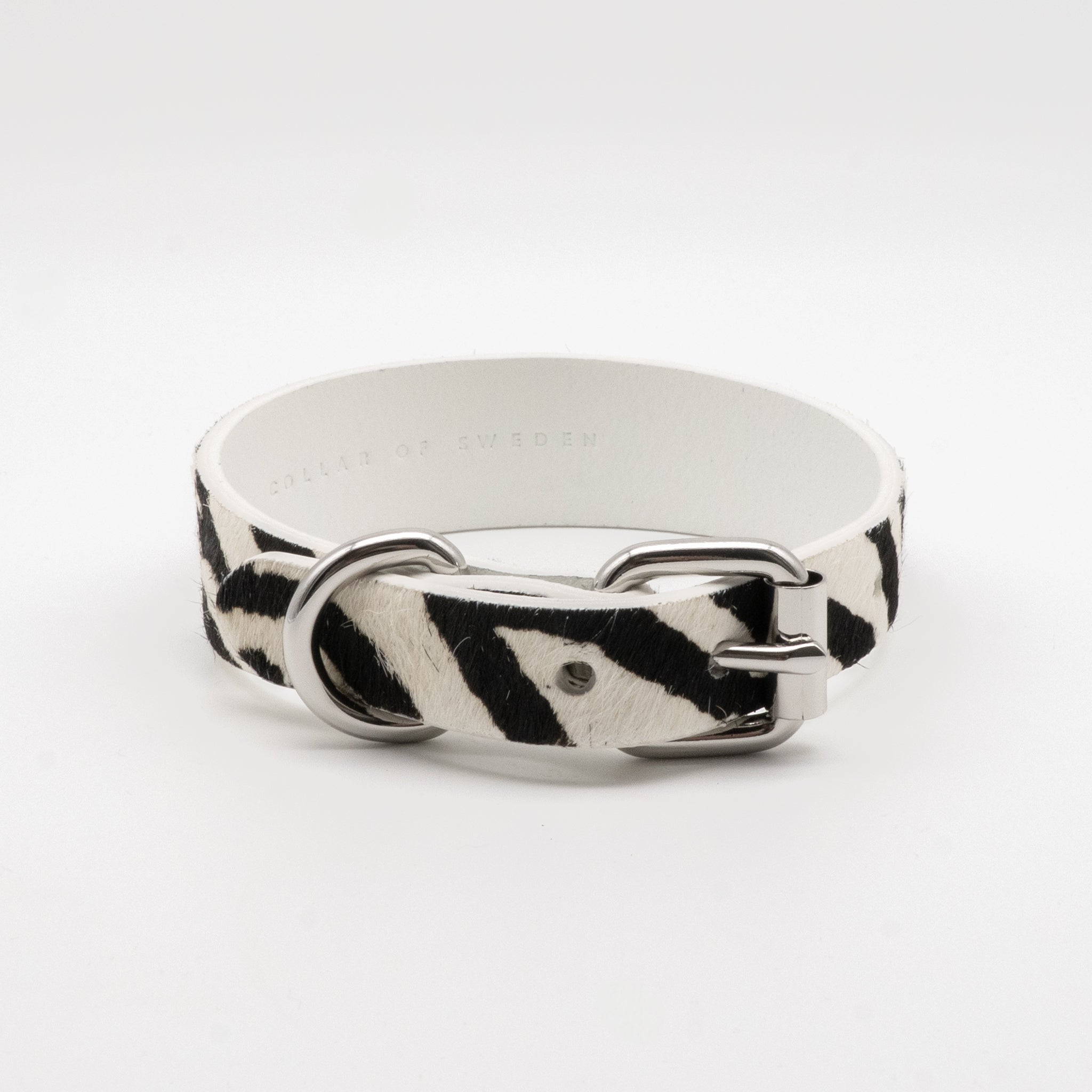 zebra-dog-collar-medium-thin-front.jpg